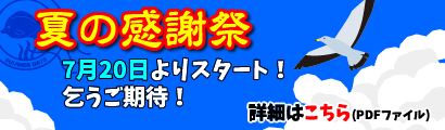 夏の感謝祭